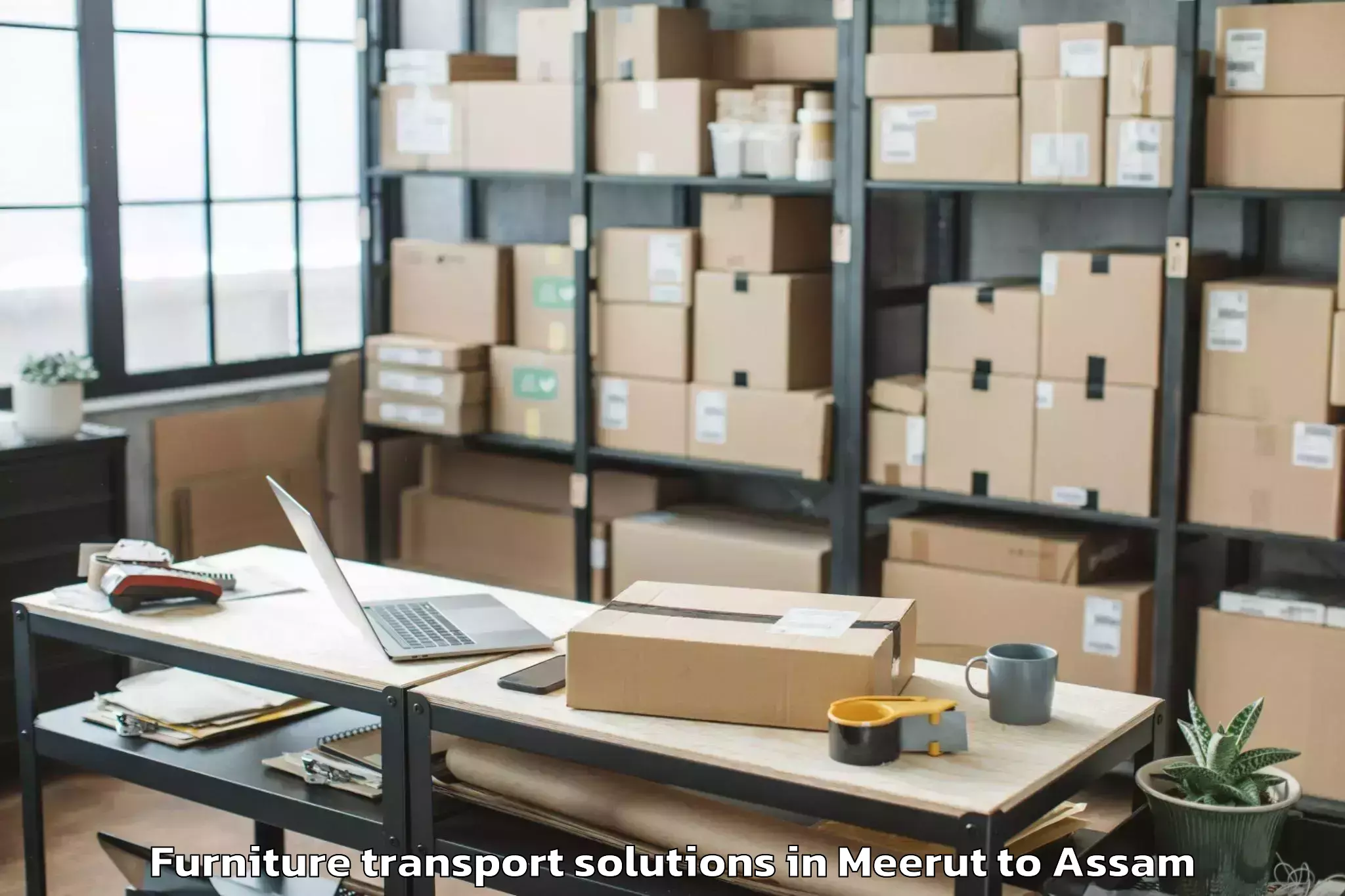 Book Meerut to Gauripur Furniture Transport Solutions